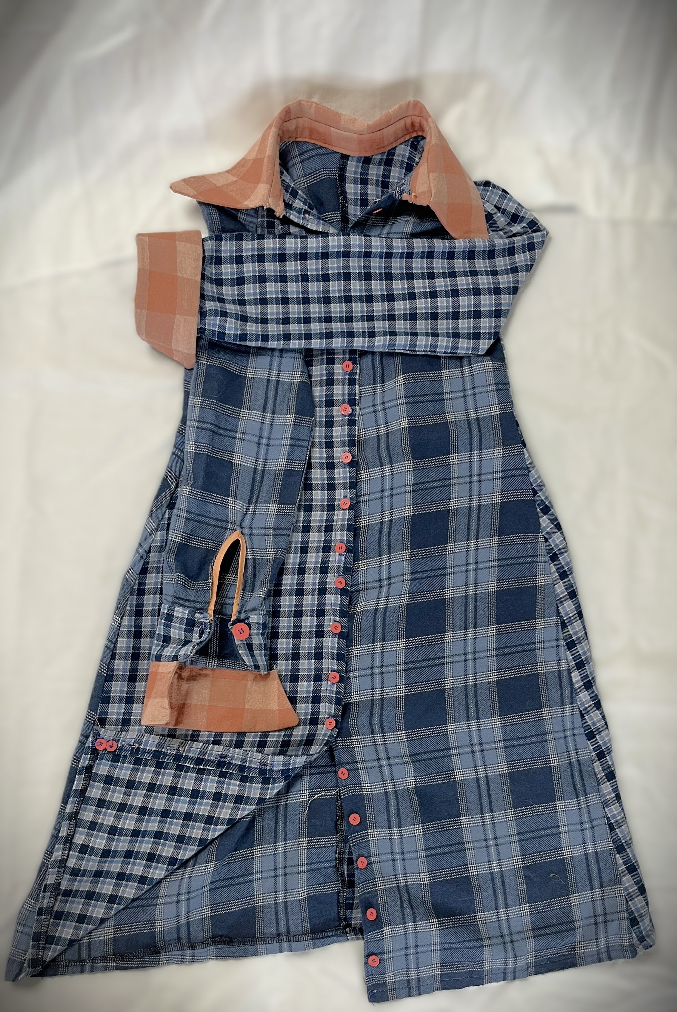 Blue/Pink Dress Front